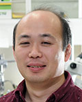 inoue