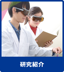研究紹介