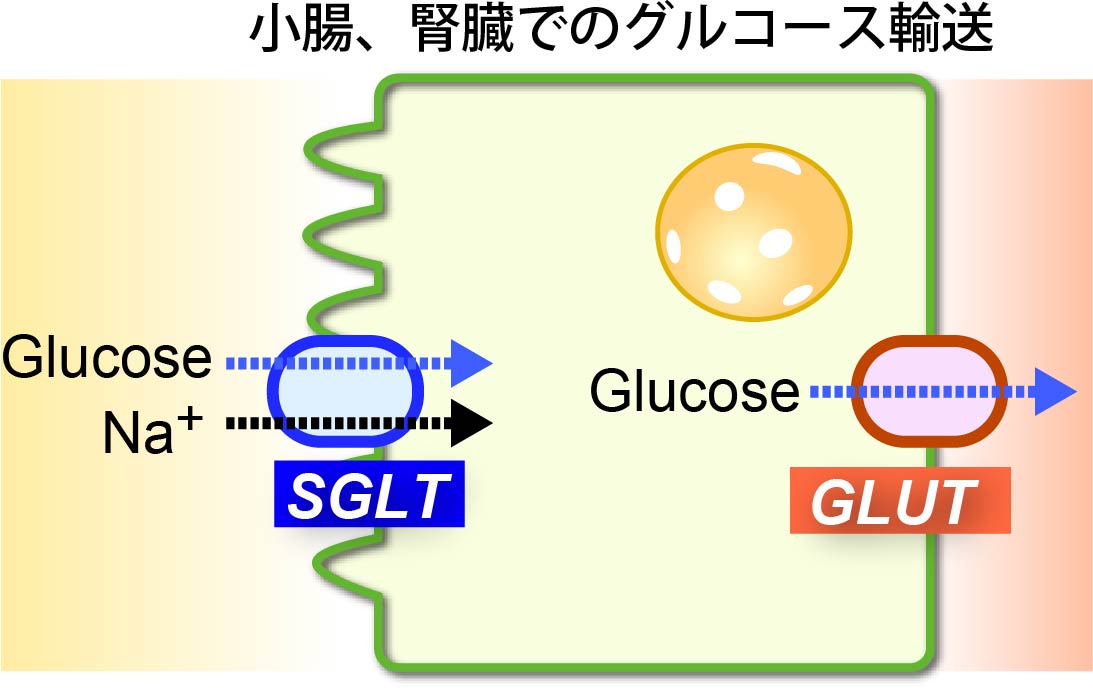 サービス名