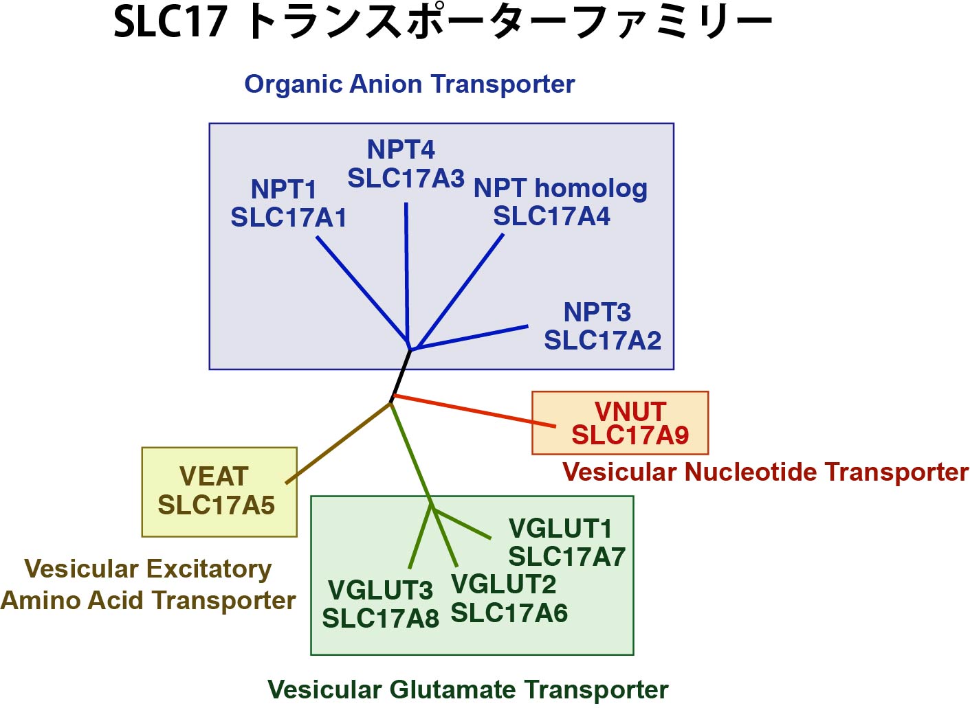 サービス名