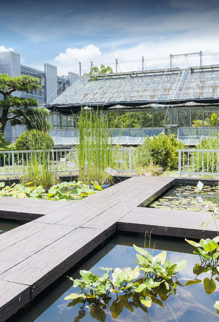 岡山大学大学院医歯薬学総合研究科 臨床薬剤学分野