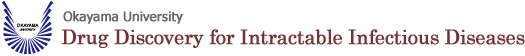 Drug Discovery for Intractable Infectious Diseases